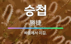 🌟승첩: 싸움에서 이김. - 표준국어대사전