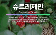 🌟슈트레제만: 독일의 정치가(1878~1929). 제일 차 세계 대전 후 독일 인민당(人民黨)을 조직하였으... - 표준국어대사전