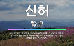 🌟신허: 하초(下焦)가 허약한 병. 과로나 지나친 성생활, 만성병으로 인하여 생기며 식은땀이 나거나 허리가... - 표준국어대사전