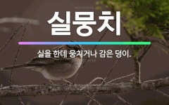 🌟실뭉치: 실을 한데 뭉치거나 감은 덩이. - 표준국어대사전