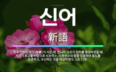 🌟신어: 중국 전한의 육가(陸賈)가 지은 책. 한나라 고조가 천하를 평정하였을 때 저자가 유교를 바탕으로 ... - 표준국어대사전