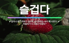 🌟슬겁다: 마음씨가 너그럽고 미덥다., 집이나 세간 따위가 겉으로 보기보다는 속이 꽤 너르다. - 표준국어대사전