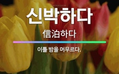 🌟신박하다: 이틀 밤을 머무르다. - 표준국어대사전