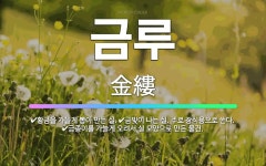 🌟금루: 황금을 가늘게 뽑아 만든 실., 금빛이 나는 실. 주로 장식용으로 쓴다., 금종이를 가늘게 오려서... - 표준국어대사전