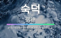 🌟숙덕: 오래도록 쌓은 덕망., 지난 세상에서 쌓은 복덕., 학덕이 높은 노인. - 표준국어대사전