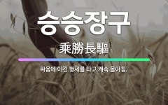 🌟승승장구: 싸움에 이긴 형세를 타고 계속 몰아침. - 표준국어대사전