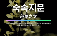 🌟숙속지문: 콩과 조처럼 늘 먹는 곡류와 같이 평범한 글이라는 뜻으로, 일반 사람들이 두루 알 수 있는 쉬... - 표준국어대사전