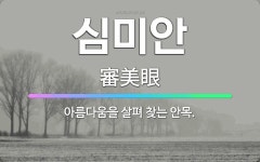 🌟심미안: 아름다움을 살펴 찾는 안목. - 표준국어대사전