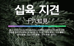 🌟십육 지견: 불교 이외의 인도의 여러 종교 또는 사상에서 주장하는, 아(我)에 관한 견해를 열여섯의 항목... - 표준국어대사전