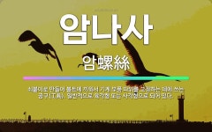 🌟암나사: 쇠붙이로 만들어 볼트에 끼워서 기계 부품 따위를 고정하는 데에 쓰는 공구(工具). 일반적으로 육... - 표준국어대사전