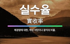 🌟실수율: 매장량에 대한, 캐낸 석탄이나 광석의 비율. - 표준국어대사전