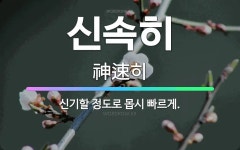 🌟신속히: 신기할 정도로 몹시 빠르게. - 표준국어대사전