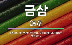 🌟금삼: 충청남도 금산에서 나는 인삼. 곡삼(曲蔘)이며 품질이 매우 좋다. - 표준국어대사전