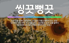 🌟씽끗뻥끗: 눈과 입을 슬며시 움직이며 소리 없이 가볍고 환하게 웃는 모양. ‘싱긋벙긋’보다 아주 센 느낌... - 표준국어대사전