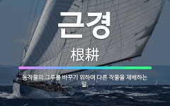 🌟근경: 농작물의 그루를 바꾸기 위하여 다른 작물을 재배하는 일. - 표준국어대사전