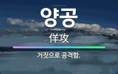 🌟양공: 거짓으로 공격함. - 표준국어대사전