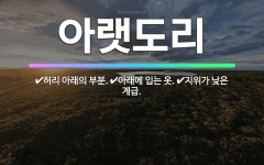 🌟아랫도리: 지위가 낮은 계급., 허리 아래의 부분., 아래에 입는 옷. - 표준국어대사전