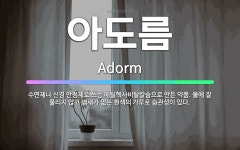 헥토_의약품_0비 | 🌟아도름: 수면제나 신경 안정제로 쓰는 에틸헥사비탈칼슘으로 만든 약품. 물에 잘 풀리지 않고 냄새가 없는 ... - 표준국어대사전