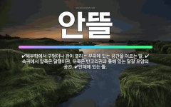 🌟안뜰: 해부학에서 구멍이나 관이 열리는 부위에 있는 공간을 이르는 말., 속귀에서 앞쪽은 달팽이관, 뒤쪽... - 표준국어대사전