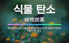 🌟식물 탄소: 목재 따위와 같은 식물질의 불완전 연소나 건류(乾溜)에 의하여 만들어지는 탄소. - 표준국어대사전