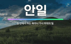 🌟안일: 집 안에서 하는 육아나 가사 따위의 일. - 표준국어대사전