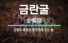 🌟금란굴: 강원도 통천군 통천면에 있는 굴. - 표준국어대사전