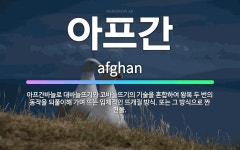 🌟아프간: 아프간바늘로 대바늘뜨기와 코바늘뜨기의 기술을 혼합하여 왕복 두 번의 동작을 되풀이해 가며 뜨는 ... - 표준국어대사전