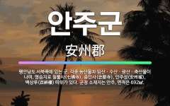 🌟안주군: 평안남도 서북쪽에 있는 군. 각종 농산물과 임산ㆍ수산ㆍ광산ㆍ축산물이 나며, 명승지로 칠불사(七佛... - 표준국어대사전