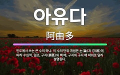 🌟아유다: 인도에서 쓰는 큰 수의 하나. 이 수의 단위 개념은 논(論)과 경(經)에 따라 수십억, 일조, ... - 표준국어대사전