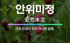 🌟안위미정: 아직 안정이 되지 아니한 상태. - 표준국어대사전