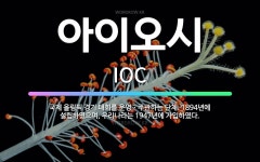 🌟아이오시: 국제 올림픽 경기 대회를 운영ㆍ주관하는 단체. 1894년에 설립하였으며, 우리나라는 1947년... - 표준국어대사전