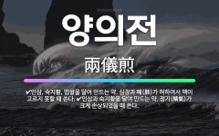 🌟양의전: 인삼, 숙지황, 멥쌀을 달여 만드는 약. 심장과 폐(肺)가 허하여서 맥이 고르지 못할 때 쓴다.... - 표준국어대사전