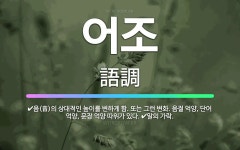 🌟어조: 음(音)의 상대적인 높이를 변하게 함. 또는 그런 변화. 음절 억양, 단어 억양, 문장 억양 따위... - 표준국어대사전