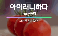 🌟아이러니하다: 모순된 점이 있다. - 표준국어대사전