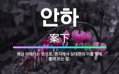 🌟안하: 책상 아래라는 뜻으로, 편지에서 상대편의 이름 밑에 붙여 쓰는 말. - 표준국어대사전