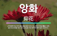 🌟앙화: 아래쪽 판심 어미(版心魚尾)를 이르는 말., 탑의 복발(覆鉢) 위에 놓인 꽃 모양을 새긴 장식. ... - 표준국어대사전