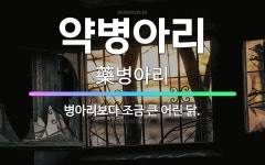 🌟약병아리: 병아리보다 조금 큰 어린 닭. - 표준국어대사전