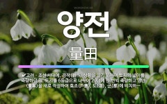 🌟양전: 고려ㆍ조선 시대에, 경작(耕作) 상황을 알기 위하여 토지의 넓이를 측량하던 일. 토지를 6등급으로... - 표준국어대사전