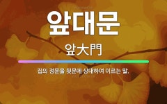🌟앞대문: 집의 정문을 뒷문에 상대하여 이르는 말. - 표준국어대사전