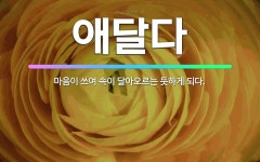 🌟애달다: 마음이 쓰여 속이 달아오르는 듯하게 되다. - 표준국어대사전