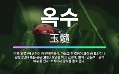 🌟옥수: 석영(石英)이 변하여 이루어진 광석. 가늘고 긴 결정이 모여 공 모양이나 유방(乳房) 또는 종유(... - 표준국어대사전