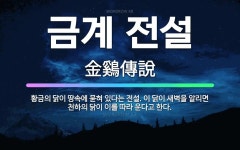 🌟금계 전설: 황금의 닭이 땅속에 묻혀 있다는 전설. 이 닭이 새벽을 알리면 천하의 닭이 이를 따라 운다고... - 표준국어대사전
