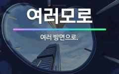 🌟여러모로: 여러 방면으로. - 표준국어대사전
