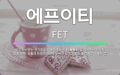 🌟에프이티: 외부에서 받는 전기장을 이용하여 도전율(導電率)을 제어하는 반도체 증폭 소자. 보통의 트랜지스... - 표준국어대사전