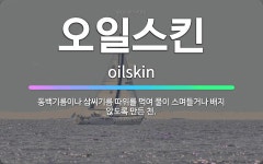 🌟오일스킨: 동백기름이나 삼씨기름 따위를 먹여 물이 스며들거나 배지 않도록 만든 천. - 표준국어대사전