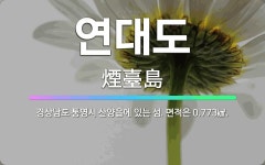 🌟연대도: 경상남도 통영시 산양읍에 있는 섬. 면적은 0.773㎢. - 표준국어대사전