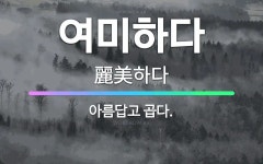 🌟여미하다: 아름답고 곱다. - 표준국어대사전