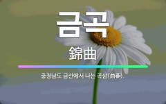 🌟금곡: 충청남도 금산에서 나는 곡삼(曲蔘). - 표준국어대사전