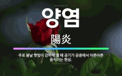 🌟양염: 주로 봄날 햇빛이 강하게 쬘 때 공기가 공중에서 아른아른 움직이는 현상. - 표준국어대사전