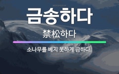 🌟금송하다: 소나무를 베지 못하게 금하다. - 표준국어대사전